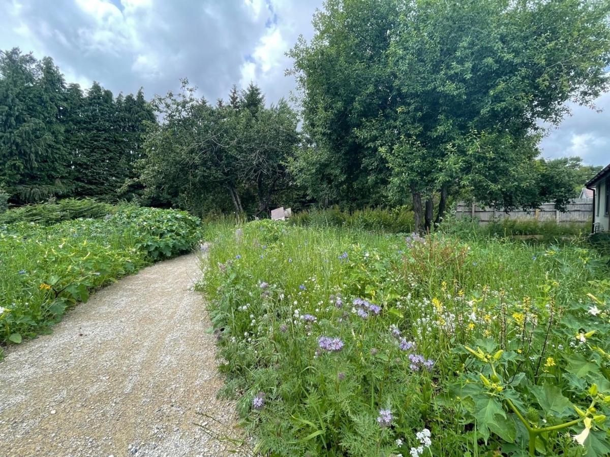 The Bearded Goat Den - A Rural Retreat At This Modern Holiday Cottage Saint Leonards Екстериор снимка