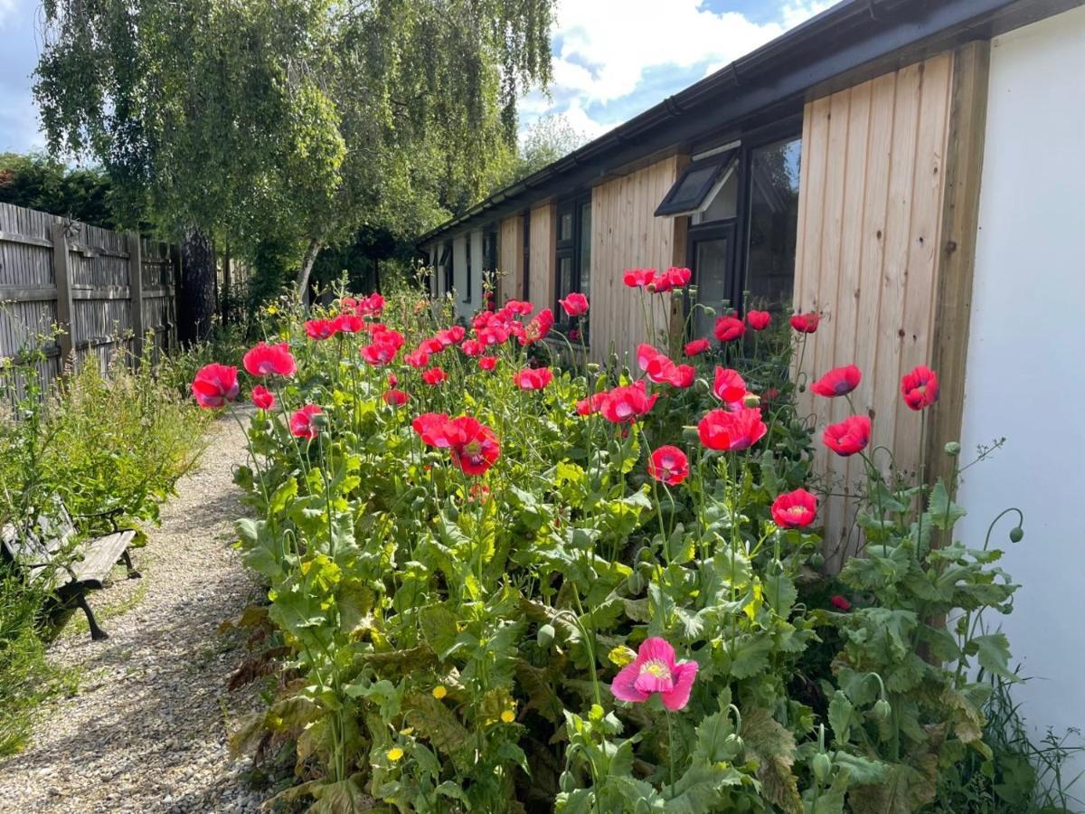 The Bearded Goat Den - A Rural Retreat At This Modern Holiday Cottage Saint Leonards Екстериор снимка
